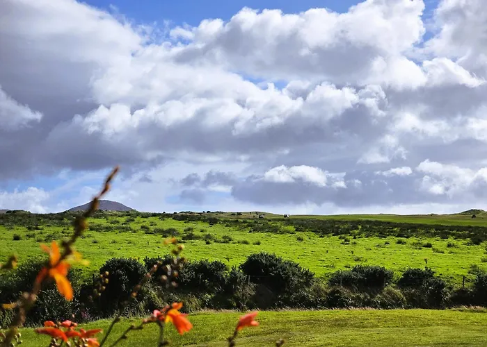 Fuchsia - New Luxury 5* Beachside With Sauna - 4 Beds Ensuite - Spectacular Location * An Coireán